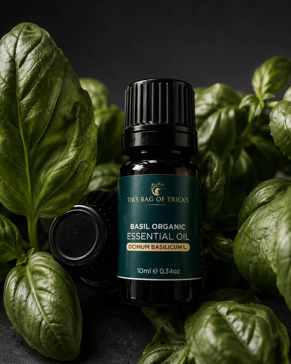 Organic Basil Essential Oil - Image 2