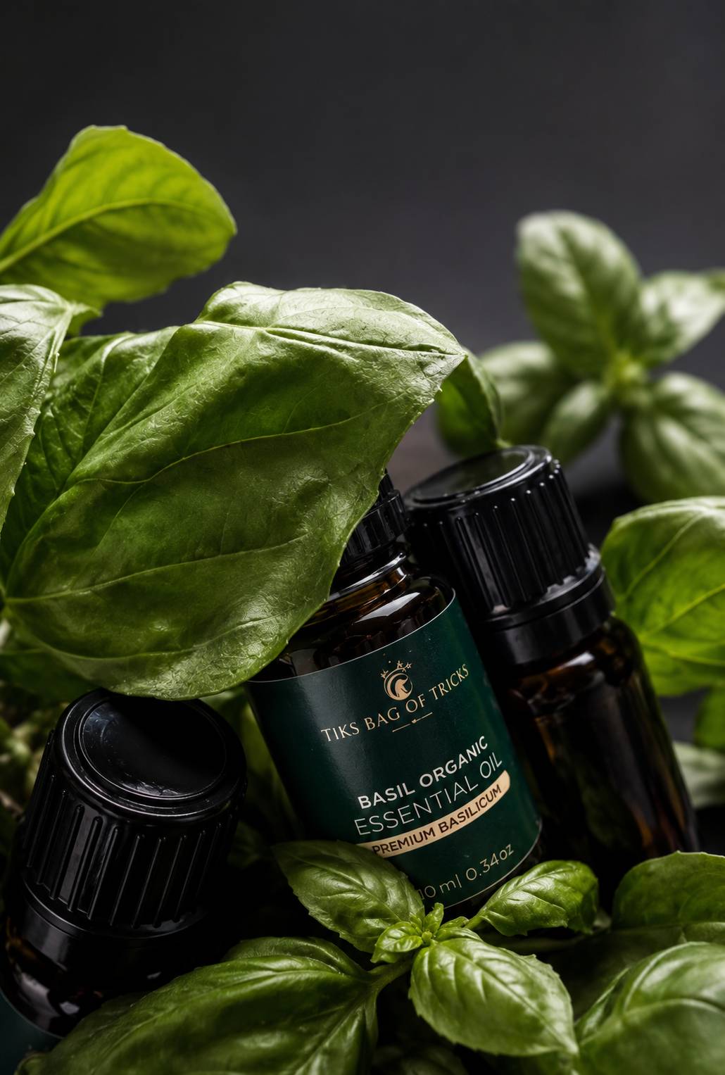Organic Basil Essential Oil - Image 6